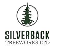 SilverBack logo